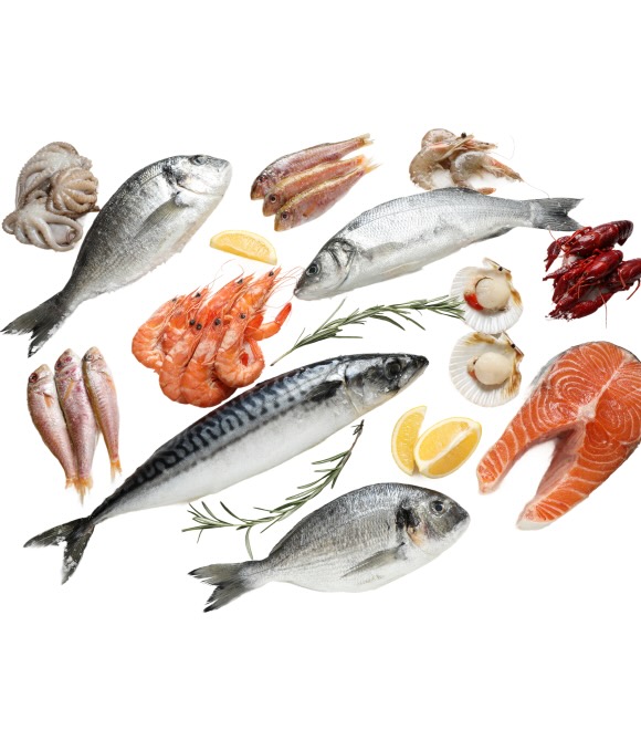 Poisson et produits de la mer